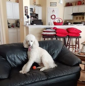 Meet your Posher, Nora